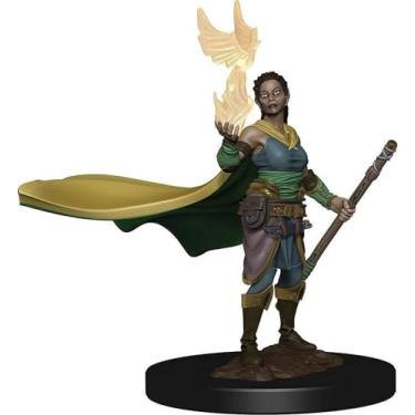 Imagem de D&D: Icons of the Realms - Premium Figures - Elf Female Druid, Galápagos Jogos