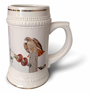 Imagem de 3dRose EUA, Kansas. Hawk de cauda vermelha, Buteo jamaicensis. - Caneca de Stein, 510 g, 623 g, branca