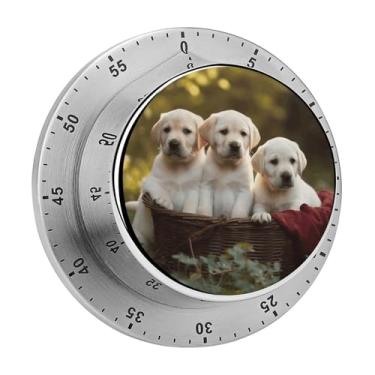 Imagem de Canguru sentado no cesto de cozinha temporizador magnético de aço inoxidável com temporizador mecânico com alarme para assar em casa e forno