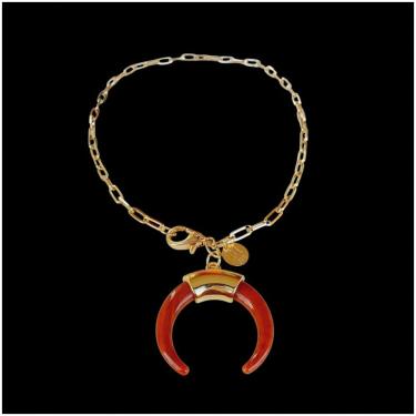 Imagem de Colar Pingente Dente De Sabre