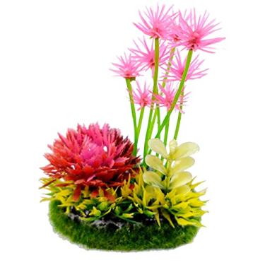 Imagem de Planta Soma para Aquário Duo Mix Paisagem 20
