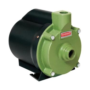Imagem de Motobomba Centrífuga Schneider 1/4cv Bcr-2000 220 Volts