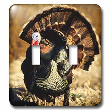 Imagem de 3dRose lsp_251472_2 Rio Grande Wild Turkey gobbler strutting, Starr County, Texas - Interruptor duplo