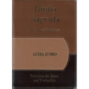 Imagem de Biblia jumbo Luxo com harpa Tricolor com indice cpp - PAULISTA