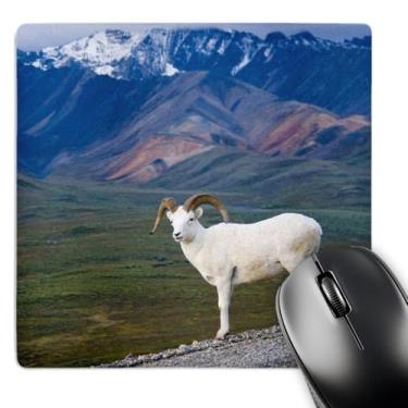 Imagem de 3dRose Mouse pad LLC 20 x 20 x 0,25 AK Denali Dall Sheep Wildlife Polychrome Pass Jerry Ginsberg (mp_87526_1)