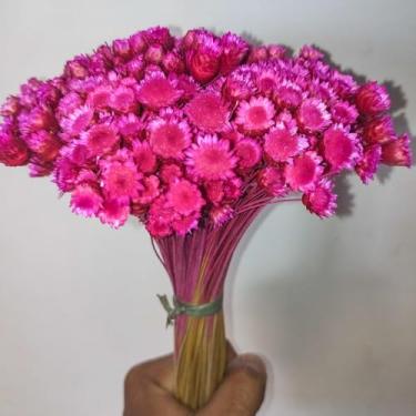 Imagem de Flor Sempre Viva Botão Jazida, Flores Secas Naturais para Decoração, Buquê Artesanal (ROSA)