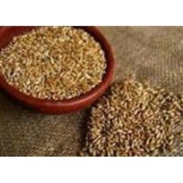 Imagem de Alpiste 800 Canadense Humano - Grão no Ponto