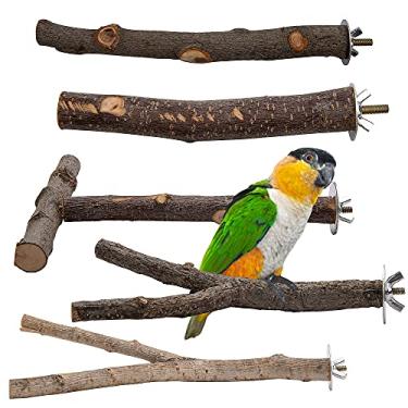 Imagem de EBaokuup Conjunto de 5 peças de suporte para papagaio de pássaro – Suporte de madeira natural para papagaios de pássaro com garfo e vara de poleiro para pequenos periquitos Budgies e cockatiels Conure Lovebirds