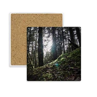 Imagem de Porta-copos quadrado verde-escuro com paisagem de natureza ciência florestal pedra isolante