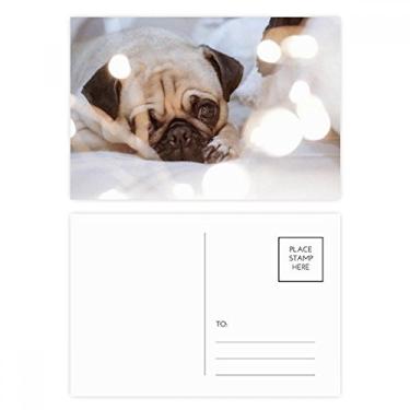Imagem de Bulldog Pet Animal Lonely conjunto de cartões postais de aniversário para enviar cartões de agradecimento