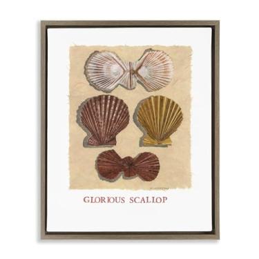 Imagem de Stupell Industries Design de arte de parede em tela flutuante marrom com conchas de vieiras gloriosas por Nancy Overton, 80 x 63 cm