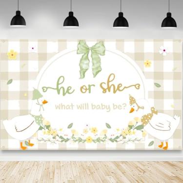 Imagem de AIBIIN Pano de fundo de pato branco revelador de gênero He or she What Will Baby Be Photography Background Drake Green Bow Gênero Revelar decorações de festa adereços de cabine de fotos 179,8 x 110 cm