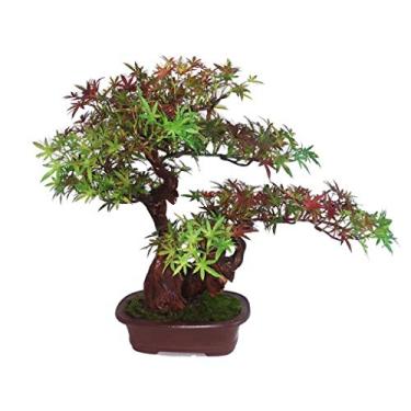 Imagem de Planta de bonsai artificial, flor artificial estilo chinês, bonsai artificial, mobiliário doméstico, bordo vermelho artificial, plantas verdes falsas, sala de estar em vaso, decoração de plantas