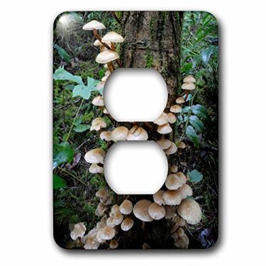 Imagem de 3D Rose LSP_226774_6 Canadá, Vancouver. Capa para tomada de 2 plugues marrom cogumelos árvore tronco