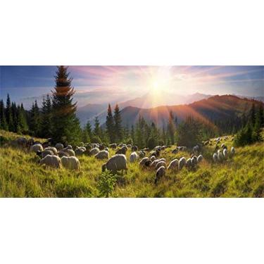 Imagem de Yeele Pano de fundo de pastagem rural de vinil de 2,7 x 1,8 m para fotografia Hill Highland Sheep Flock Lamb Spring Summer pastando fundo pastores, cabine de fotos, atirar estúdio adereços