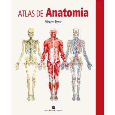 Imagem de Atlas de Anatomia - 01Ed/25 Sortido - RESUMAO, Sortido