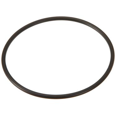 Imagem de Hayward GLX-DIY-ORING Anel de vedação de substituição para o sistema de cloração de sal e natação Hayward