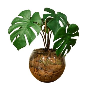 Imagem de Arranjo Centro de Mesa Mini Costela de Adão Artificial Completo