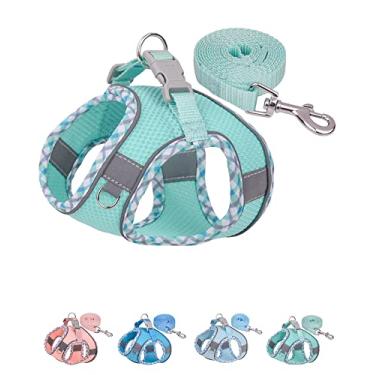 Imagem de Petank Arnês verde para cães (PP), sem puxão, conjunto de coleira e coleira para filhotes, malha jacquard, arnês fácil de caminhar para cães pequenos e médios, faixa refletiva, treinamento, corrida,