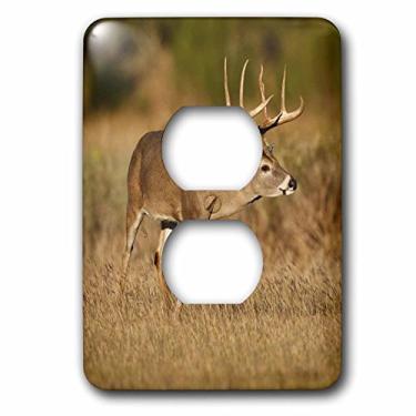 Imagem de 3dRose lsp_94478_6 Capa de interruptor de luz branca veado, Grassland, Texas Us44 Ldi0371 Larry Ditto