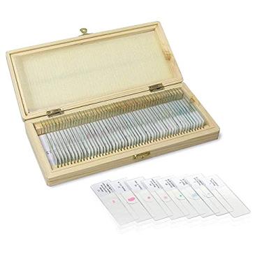 Imagem de Labvida 50 Lâminas Preparadas do Microscópio Dos Pces, Corrediças do Espécime Da Microbiologia para Crianças, Adultos Lvq091