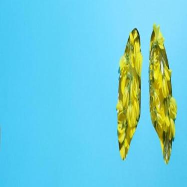 Imagem de Quadro Decorativo Conscientização Saúde Pulmões Arte Moderna Lung Day 40x40cm