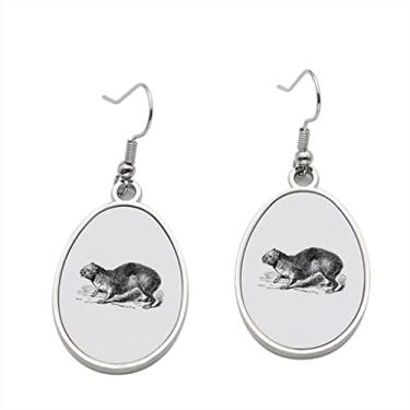 Imagem de Brinco com gravação vintage Rock Hyrax ou Cape Hyrax ou Procavia Capensis – Brincos pendentes para meninas – Presente de festa de aniversário dos namorados