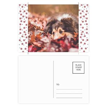 Imagem de Cartão postal de Natal com folhas de animais para cães, fotos, celebrações, cartão postal de bênção