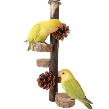 Imagem de CXYYXF Gaiola de papagaio de brinquedo de treinamento de pássaros com plataforma de brinquedo calopsita parque infantil poleiro de academia para uso interno em casa suporte de treinamento de papagaio