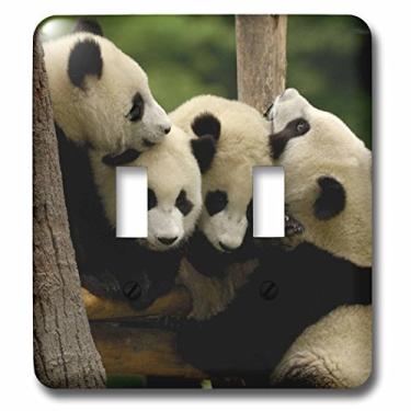 Imagem de 3dRose Lsp_70203_2 Ursos panda gigantes, Wolong China Conservation, China-As07 Pox0365 Pete Oxford Tampa de interruptor de luz