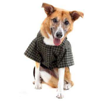 Imagem de Camisa Xadrez para Cachorro e Gato Pet - Bichinho Chic, Verde, 6