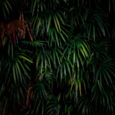 Imagem de Quadro Decorativo Natureza folhas estampa vertical para parede 30x30cm