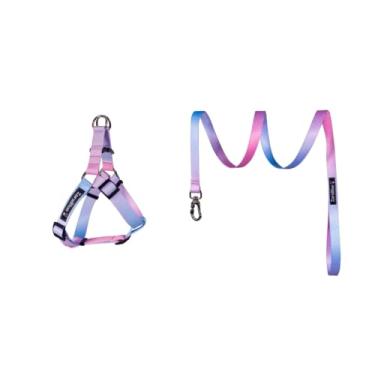 Imagem de Kit Peitoral e Guia para Cachorro – Conforto e Segurança para Passeios de Pequeno, Médio e Grande Porte(Cloe,Pequeno)