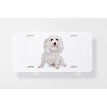 Imagem de Capa para placa de carro para cães Maltese - Capa para placa de carro - Capa para placa de carro 15,24 x 30,48 cm
