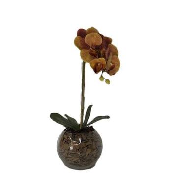 Imagem de Orquídea Laranja x1 Vaso Aquário - Biofil