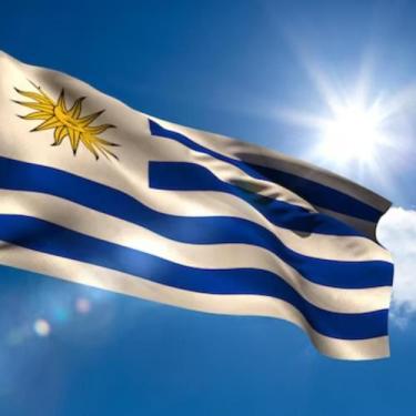 Imagem de Bandeira do Uruguai 1,50x0,90mt 100% poliéster Países 2024 - WCAN