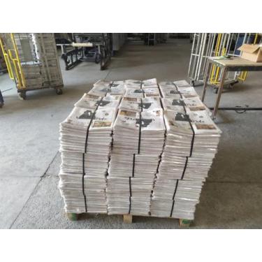 Imagem de Jornal Velho Limpo Pet Cachorro Tapete Higiênico Fardo 10kg - O tempo