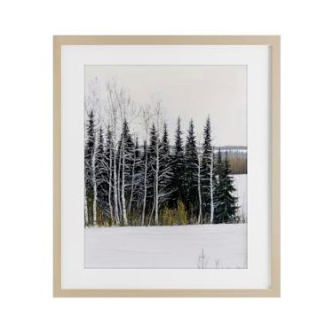 Imagem de Stupell Industries "Winter Landscape Grove", impressão emoldurada sob vidro, marrom, 13 x 16