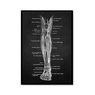 Imagem de Fundo preto anatomia humana arte médica impressões imagens esqueleto músculo pôster vintage educação pintura arte decoração de parede (SKU5,12x40,6 cm = (30x40 cm), moldura de metal preto)