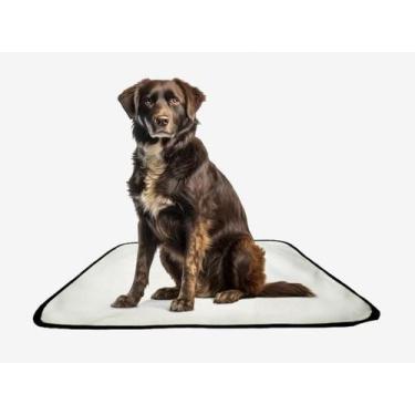 Imagem de Tapete Pet Lavável Adestramento Em Oferta 2 Un M - 60X80 Cm - Shelby M
