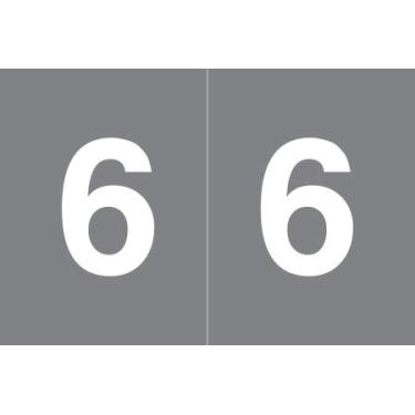Imagem de Doctor Stuff - File Folder Labels, Number 6, S&W Match - SKNM Series Chart Stickers, Gray, 1" x 1-1/2", #6, 500/Roll