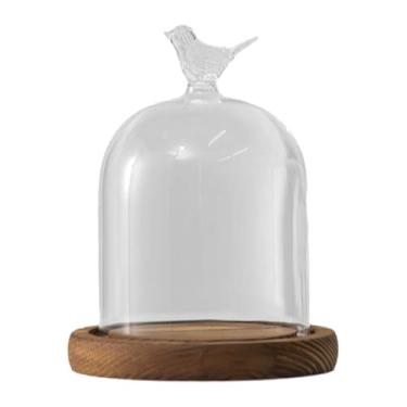 Imagem de WeiLaiKeQi Cúpula de vidro cloche bell jar mesa expositor versátil com base de madeira diâmetro 9cm para bugigangas lembranças acessórios, Style D