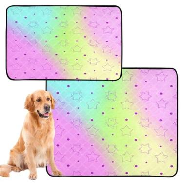 Imagem de CEBUGI Almofadas de xixi laváveis para cães, pacote com 3, almofadas impermeáveis para filhotes de cachorro, antiderrapante, à prova de vazamento, para cama de cercadinho, fundo gradiente colorido