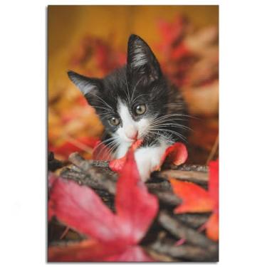 Imagem de 0917 Cute Wall Art White Kitten Canvas Prints Colorful Leaves Poster For Home Conjunto de 1 Decorações Noframed 30.5 cm x 20.3 cm