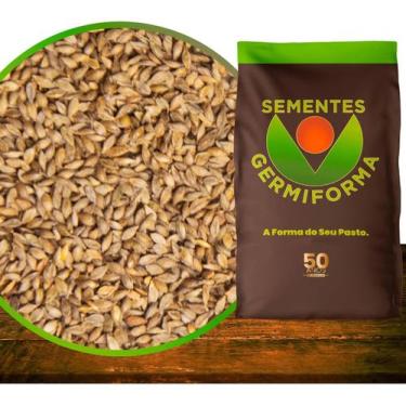 Imagem de Sementes Brachiaria Llanero 10kg para Pastagem Terreno Arenoso Equinos