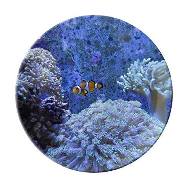 Imagem de Prato decorativo de porcelana Salver Salver Prato de jantar Ocean Coral Science
