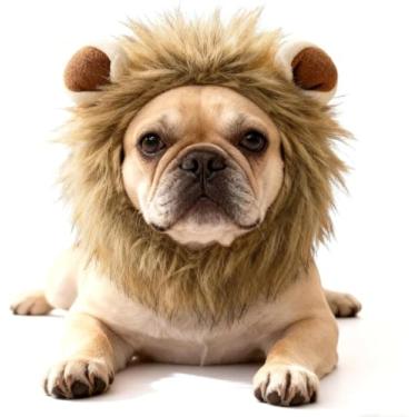 Imagem de Peruca de juba de leão ajustável, fantasias de Halloween para cães e gatos, fantasias de Halloween para cães pequenos, fantasias de animais de estimação para festa de Halloween, tamanho G