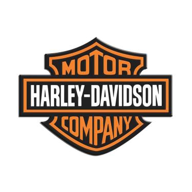 Imagem de Adesivo Resinado Logo Harley Davidson Moto Carro Notebook