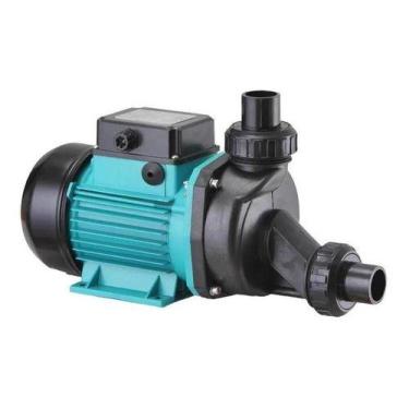 Imagem de Motobomba De Hidromassagem 0,5hp Monofásico Lepono-lspa600