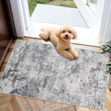 Imagem de HILORUUG Tapete 2x3 lavável Entrada: Tapetes de área abstratos antiderrapantes para cozinha e banheiro - Tapete de porta fino resistente a manchas pequenas para a família de animais de estimação de